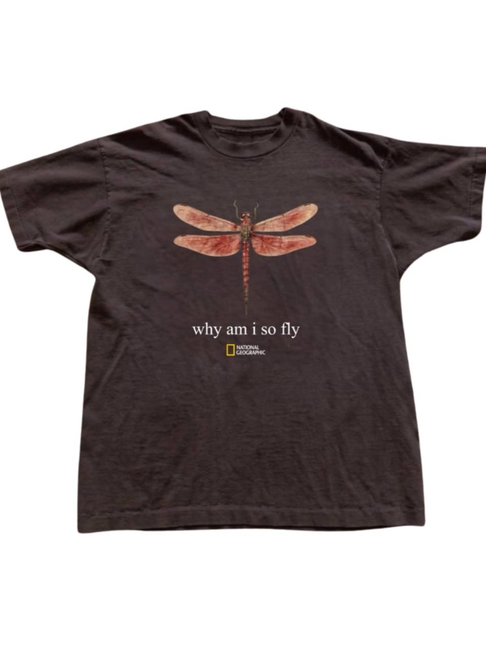 Brown Tee with Pink-Red Dragonfly Graphic